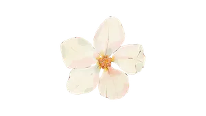 Gaaya Stress Relief Massage (Full body + Foot massage + Hot oil + Hot stone) Gaaya Stress Relief Massage (Full body + Foot massage + Hot oil + Hot stone)