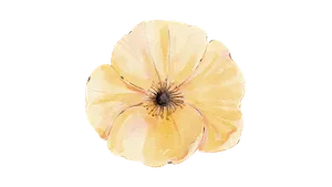 Gaaya Aromatherapy & Facial Retreat (Full body massage + Back scrub + Facial + Hot oil + Hot stone) Gaaya Aromatherapy & Facial Retreat (Full body massage + Back scrub + Facial + Hot oil + Hot stone)