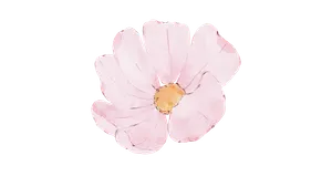 Gaaya Steps of Bliss (Leg massage + Foot scrub + Hot oil + Hot stone) Gaaya Steps of Bliss (Leg massage + Foot scrub + Hot oil + Hot stone)